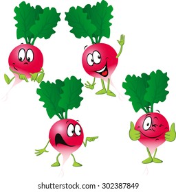 radish - funny vector cartoon