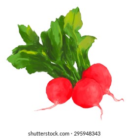Radish hand drawn vector colorful illustration