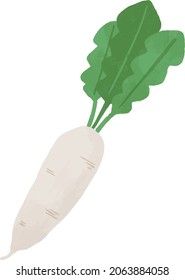 Radish in handwriting style. Vector illustration. crops. Vegetable harvest.