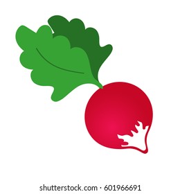 Radish icon. Cartoon illustration of radish vector icon for web design