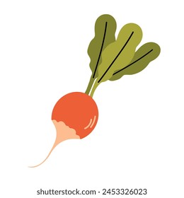 Radish icon clipart avatar logotype isolated vector illustration