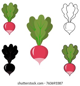 Radish icon colored, black and white, black, contiguous stroke in a flat style on a white background. Logo. Vegetables from the farm. Vector.