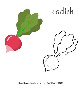 Radish icon colored and black and white in a flat style on white background. Coloring. Logo. Vegetables from the farm. Vector.