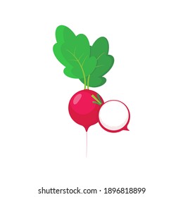 Radish icon in flat style. Isolated object, logo. Vegetable from the farm. Organic food. Vector illustration.