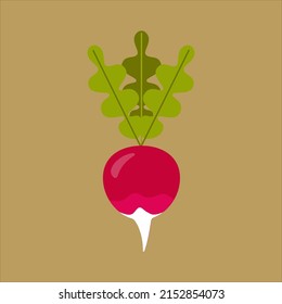 Radish icon in flat style. Isolated object, logo. Vegetable from the farm. Organic food. Vector illustration.