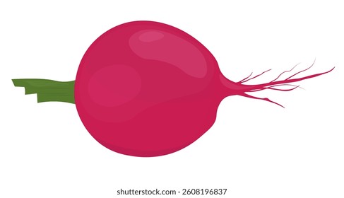 Radish. icon in flat style. Vegetable from the farm. Organic food. Vector Stock Illustration. Isolated on white background.