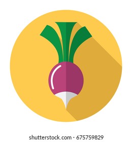 Radish icon. Flat radish icon. Radish vector.