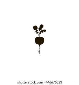 radish icon. radish sign