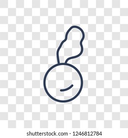 Radish icon. Trendy linear Radish logo concept on transparent background from Fruits and vegetables collection