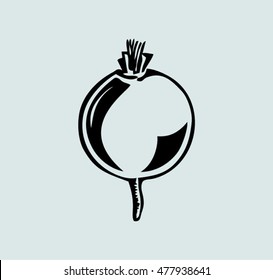  Radish Icon Vector.  