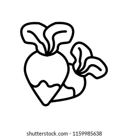 Radish icon vector isolated on white background, Radish transparent sign