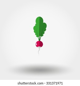 Radish. Icon for web and mobile application. Vector illustration on a white background. Flat design style.