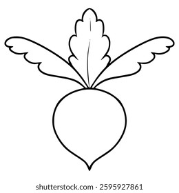 radish illustration hand drawn outline vector