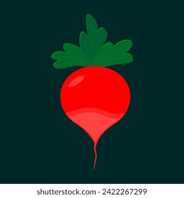 Ilustración radical. Imagen, fondo. Radish como objeto separado