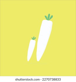 radish illustration .vector vegetables illustration 