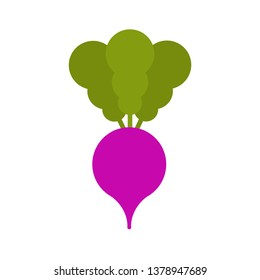 Radish isolated cartoon style. Vegetable Vector Illustration