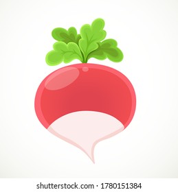 Radish isolated on white background