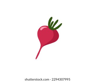 Radish isolated on white background. Vector illustration
