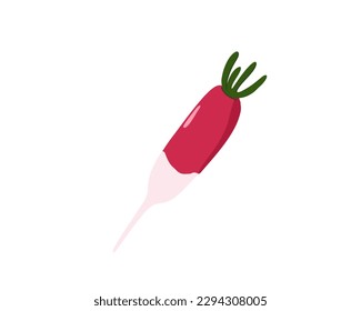 Radisson aislados en un fondo blanco. Ilustración del vector