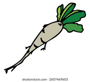Radish isolated on white background