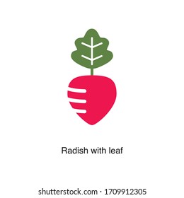Radish with leaf icon vector on white background. Colored icon illustration