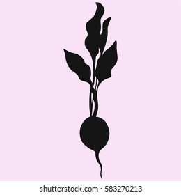 radish with leaves vector silhouette isolated 