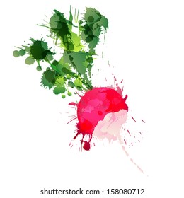 Radish made of colorful splashes on white background
