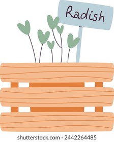 Radish Microgreen En La Ilustración Vectorial De Olla