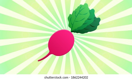 radish on a retro background, vector illustration. pink radish, natural product. farm vegetables from the garden. environmentally friendly products. food without harmful chemical additives.