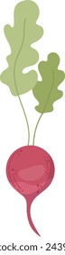 Radieschen auf dem Vorbau Vektor Illustration