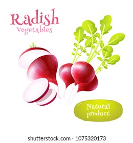 Radish on white background