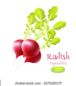 Radish on white background
