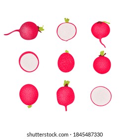 radish on white background, radish pattern, isolated.