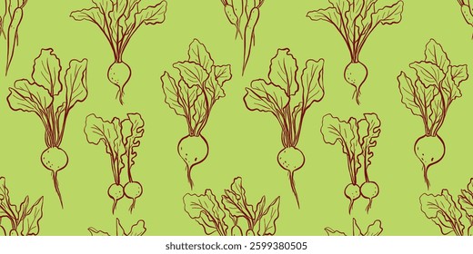 Radish outline root vegetable seamless line pattern on green background for farm market banner, restaurants