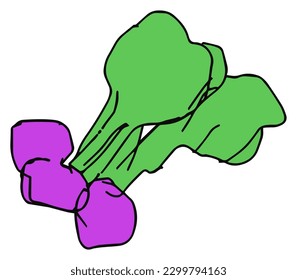 Radish (red turnip), rough hand-drawn, pretty