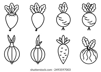 Contorno de raíz de rábano Dibujo Arte Botánico
