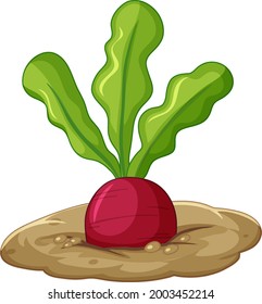 Radish root in soil cartoon style isolated illustration
