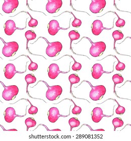 Radish. Seamless pattern with vegetables. Hand-drawn background. Vector illustration. Real watercolor drawing.