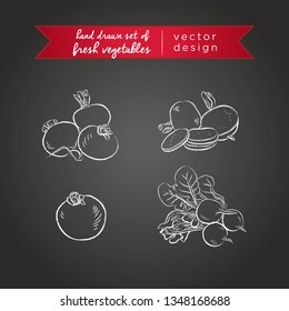 Radish. Set of fresh vegetables, whole, half and bitten with leaf. Vector illustration. Isolated on blackboard	