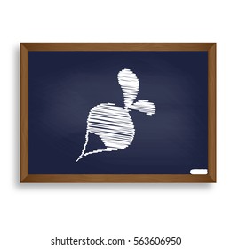 Radish simple sign. White chalk icon on blue school board with shadow as background. Isolated.