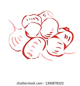 
radish sketch design