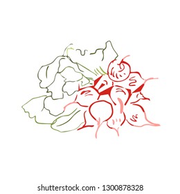 
radish sketch design
