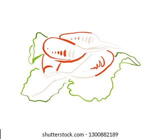 radish sketch design