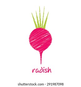 radish, sketch design vector