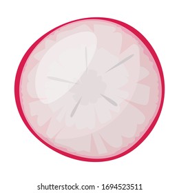 Radish slice vector icon.Cartoon vector icon isolated on white background radish slice.