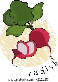 Radish and slices