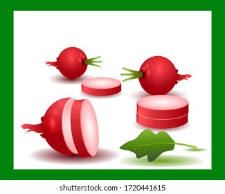 Radish. Pequeño rábano de jardín. Patrón transparente con rábano. Fondo tropical abstracto. Radish en el fondo blanco. Crecimiento orgánico. Verduras frescas, agricultura, naturaleza.