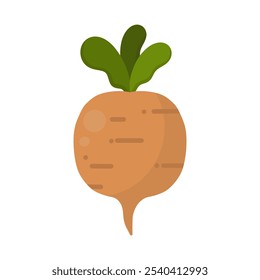 rábano o nabos. Ilustración vectorial aislada sobre fondo blanco. nabo vegetal para cocinar comidas