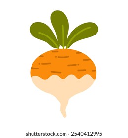 rábano o nabos. Ilustración vectorial aislada sobre fondo blanco. nabo vegetal para cocinar comidas