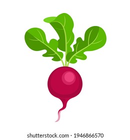 Radish vector flat icon. Healthy food. Illustration of cartoon vegetable, root vegetable isolated on white.